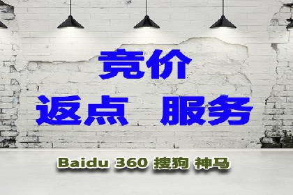 SEM代理服务：案例分享，效果显著